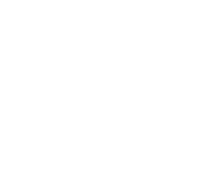 Desktop - Workstation